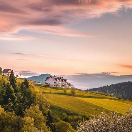 Blizej Nieba Bed & Breakfast Skrzydlna Екстериор снимка