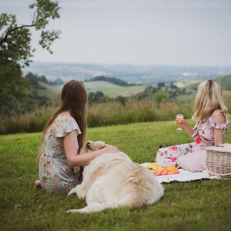 Blizej Nieba Bed & Breakfast Skrzydlna Екстериор снимка