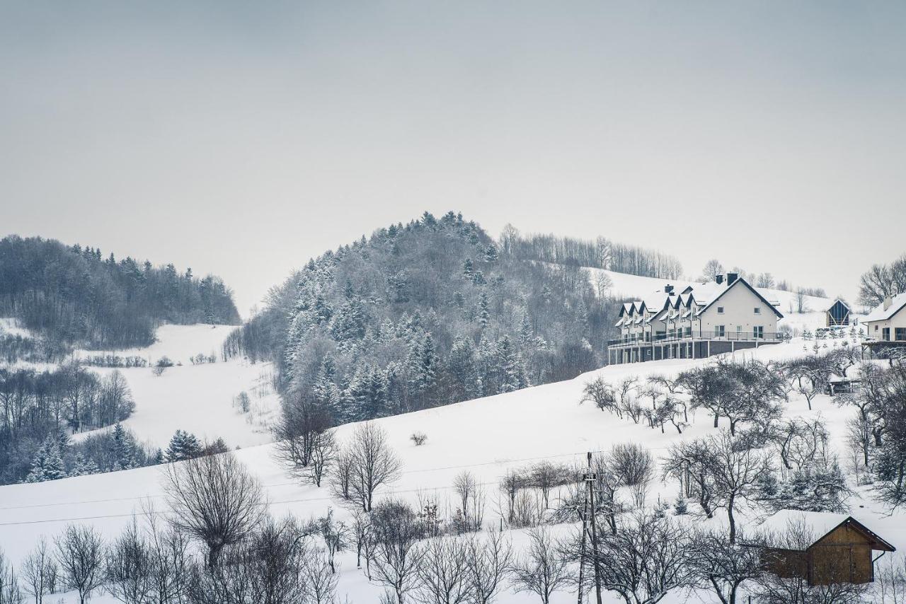Blizej Nieba Bed & Breakfast Skrzydlna Екстериор снимка
