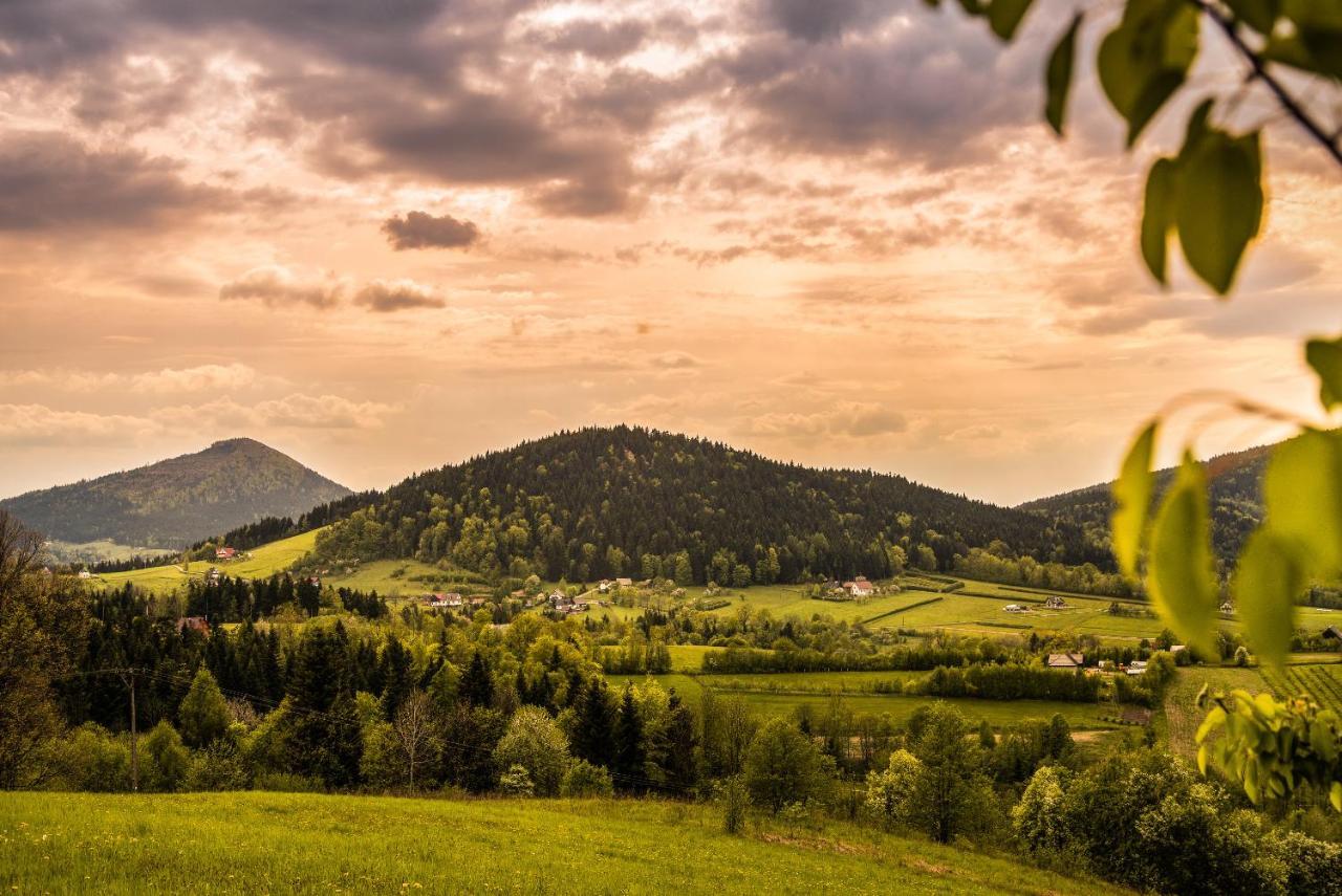 Blizej Nieba Bed & Breakfast Skrzydlna Екстериор снимка