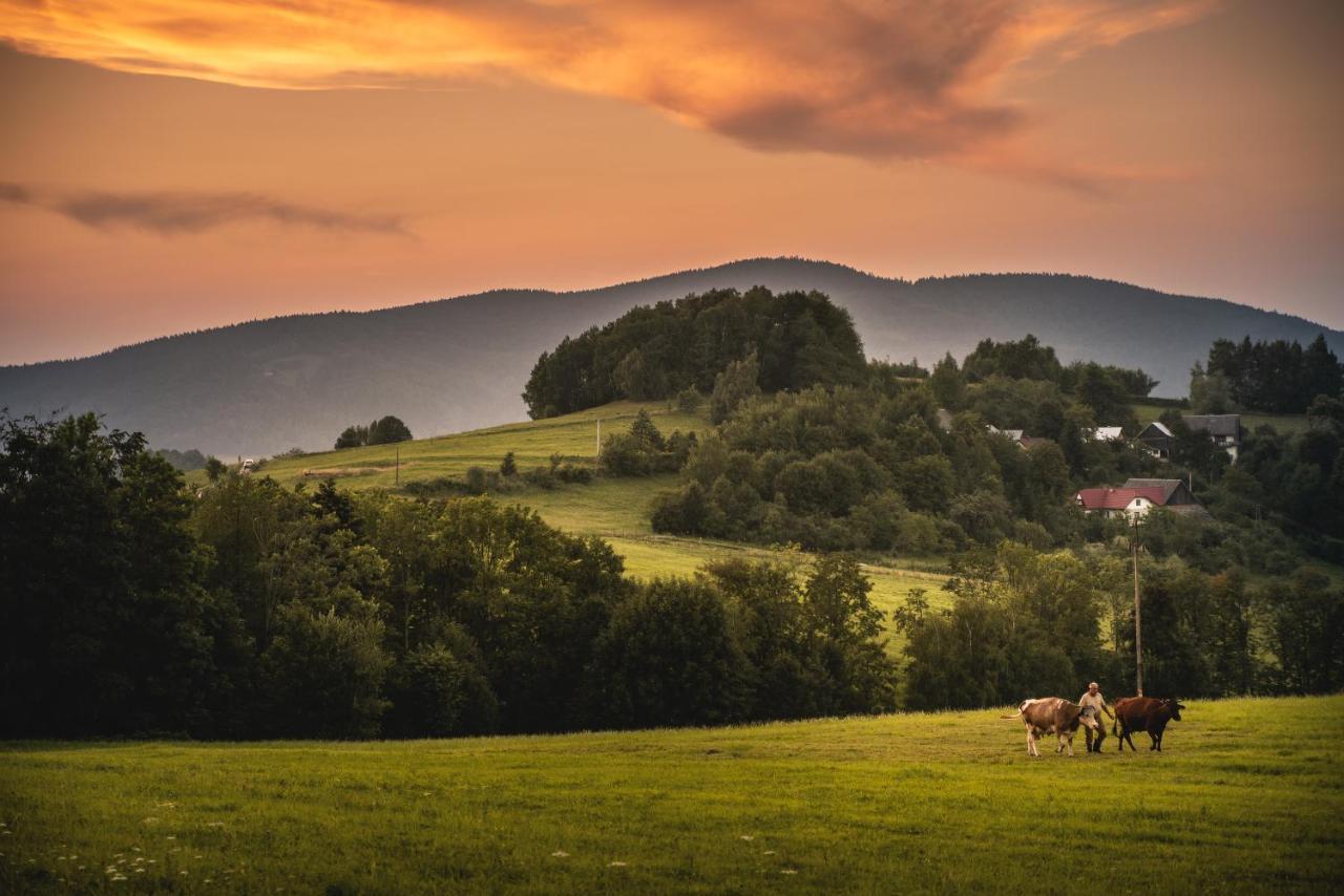 Blizej Nieba Bed & Breakfast Skrzydlna Екстериор снимка